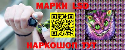 крисы Обь