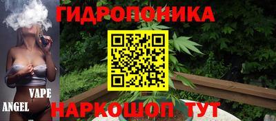 крисы Обь
