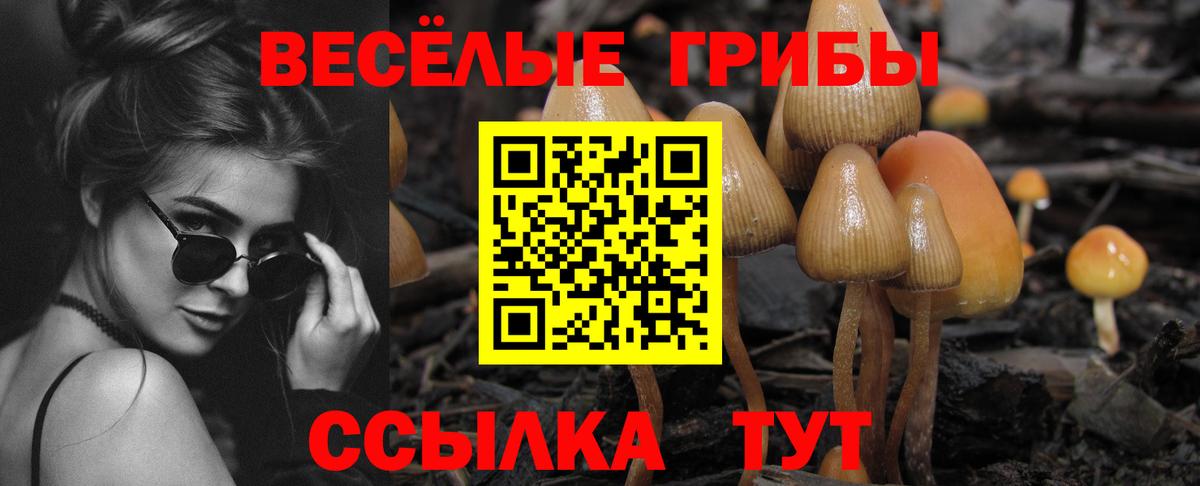 Пенза  Псилоцибиновые грибы MAGIC MUSHROOMS  купить  цена  Вход с VPN 