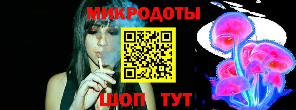 Псилоцибиновые грибы Psilocybine cubensis Пенза